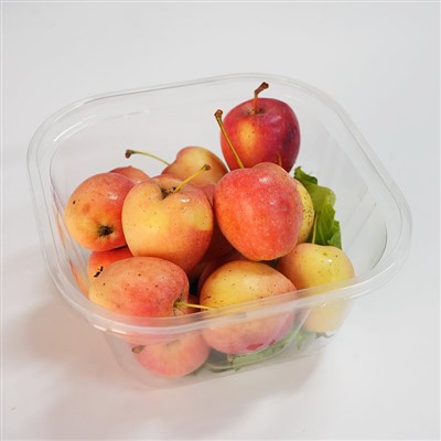 Prozorna kvadratna škatla za sadje brez pokrova